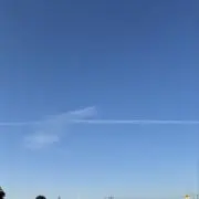 すえさんの画像