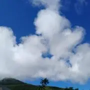 amaの画像
