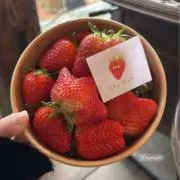 マナの画像