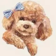 さくらの画像