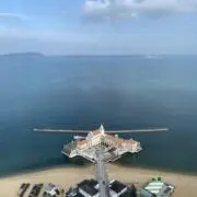 こんまみの画像