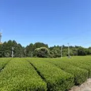 TAKA19の画像