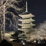 ショーンの画像