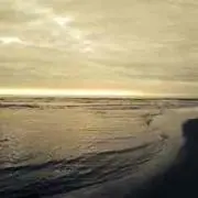 シロ