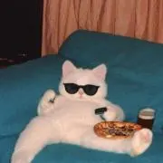 にゃキ丸ちゃむ