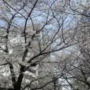 usz___の画像