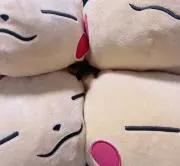 椿はん