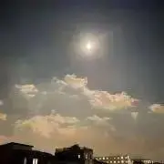 ルーシーの画像
