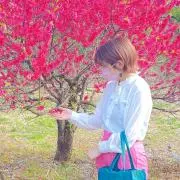 しゃけべんの画像
