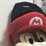 ruibosty