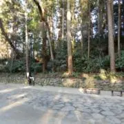 yの画像