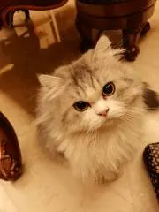 shinya0420の画像