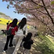✿ゆっちゃんSHOP✿の画像