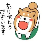 ぶーさんの画像