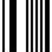 Gnuの画像