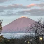 M.T.Gの画像