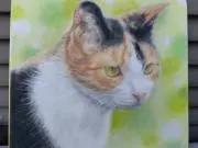 りんの画像