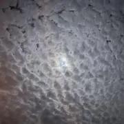 Rii___0の画像