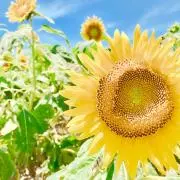 sa⭐︎の画像