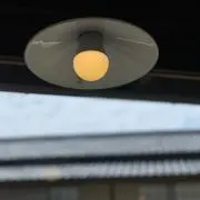 おみる