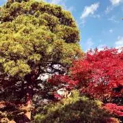 Tomo★彡の画像