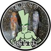 セロリマン
