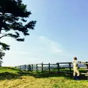 さくぼたん