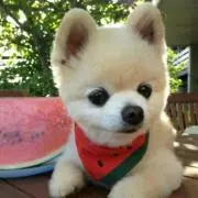 Kの画像