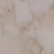 mameoの画像