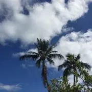 やぴた