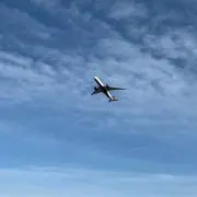 ちびこの画像