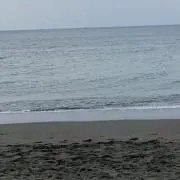t.大野