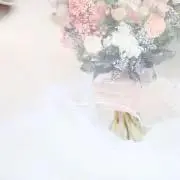 sankの画像