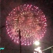 みかんの画像