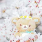 茜撫子の画像