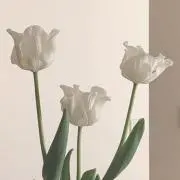 120の画像