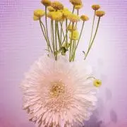 ゆうり☆衣替え整理中！の画像