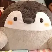 モモンガの画像