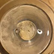 たけのこの画像
