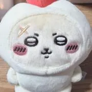 よっこの画像