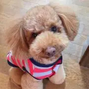 みさこ♡の画像