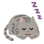 ayaの画像
