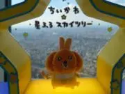 ももんぬ*の画像
