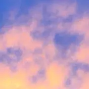 rcの画像