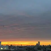 かいりの画像