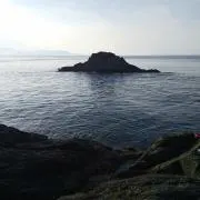 ビタビタの画像