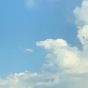 S aの画像