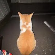 Ri プロフ読んで下さいの画像