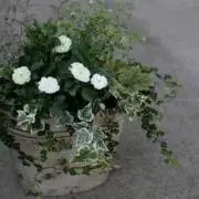 MIN