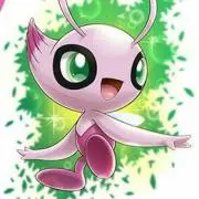 もき